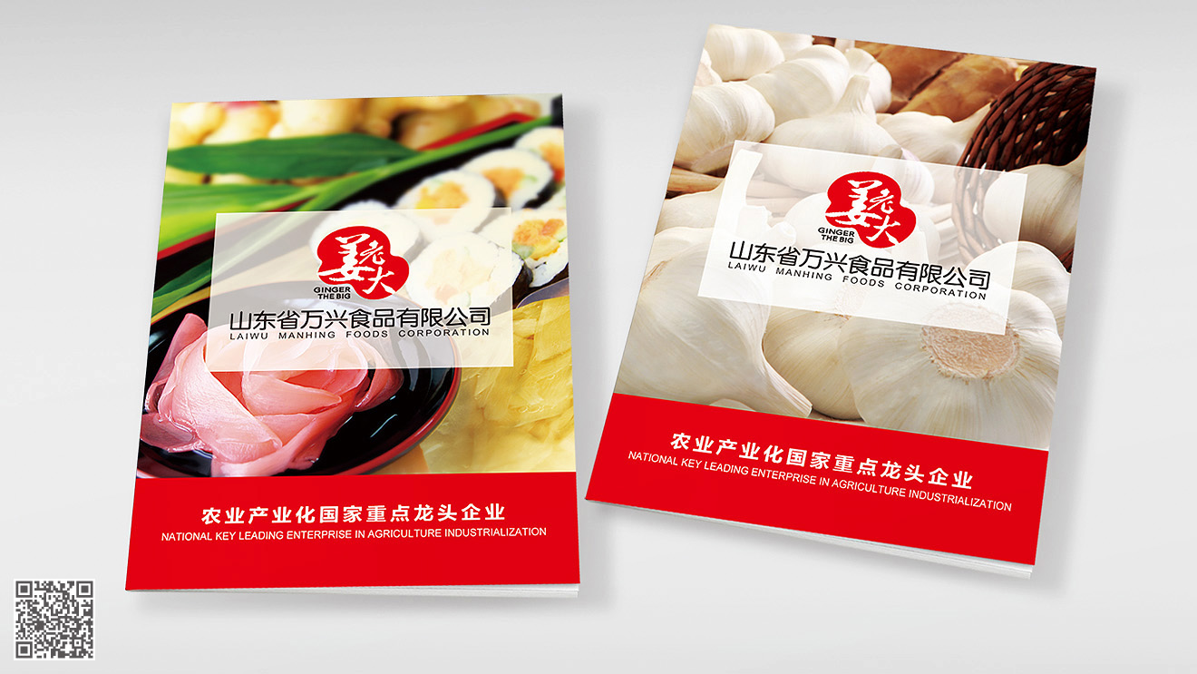 山東姜老大產品畫冊設計印刷