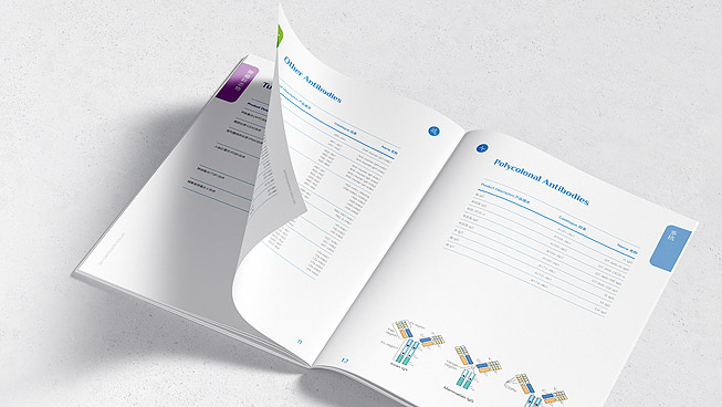 濟南畫冊設計印刷的步驟