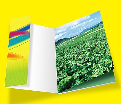 企業畫冊設計一頁多少錢？