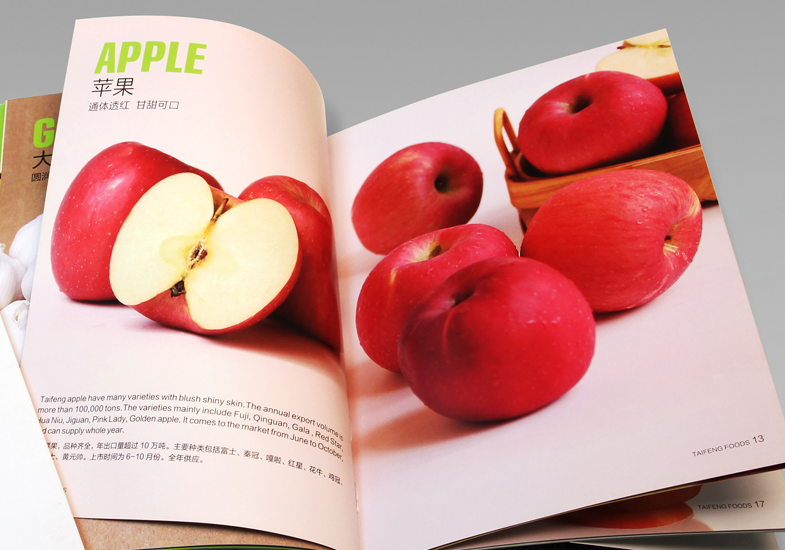 進行畫冊設計有哪些吸引注意的地方